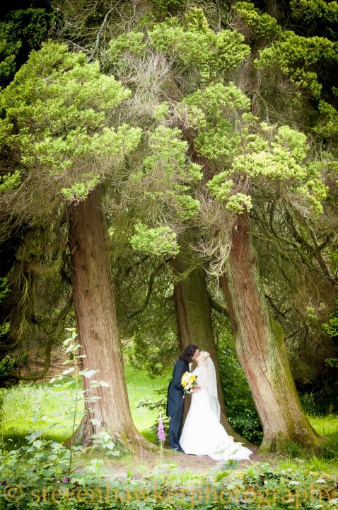 Wedding Photography Craig Y Nos castle