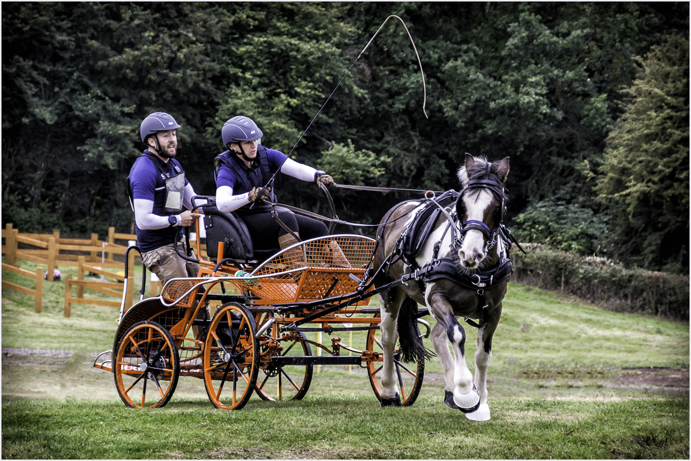 Carriage Driving