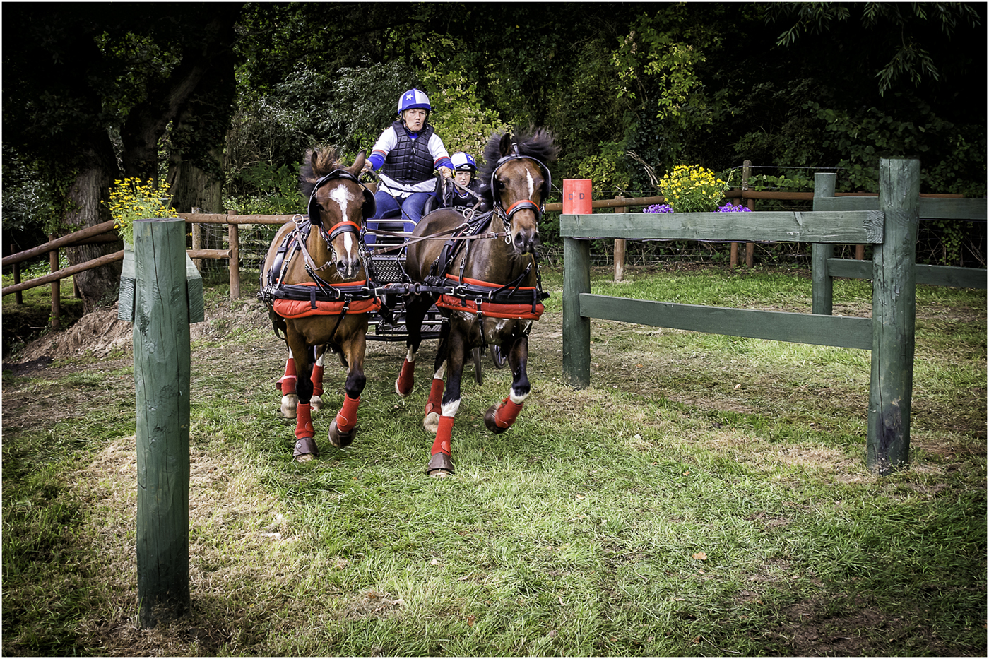 Carriage Driving